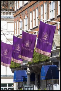Belgravia141